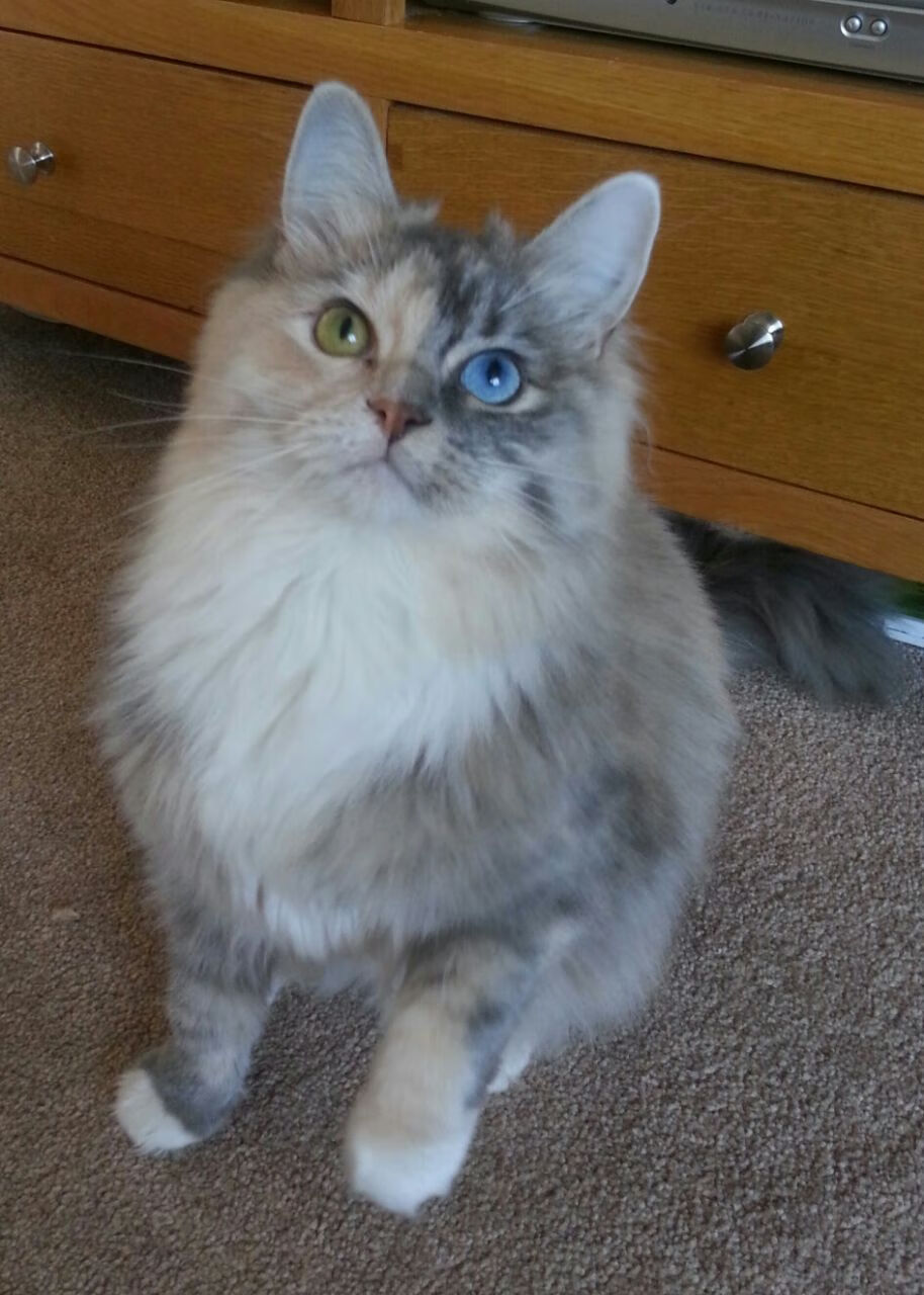 澳网，才是他唯一的封神之地，德约科维奇用墨尔本公园的完美，破解蒙特卡洛的千年魔咒