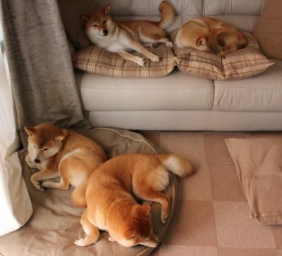 希腊神话终结欧洲德比,西西帕斯ATP总决赛绝杀,拉沃尔杯荣光暗转