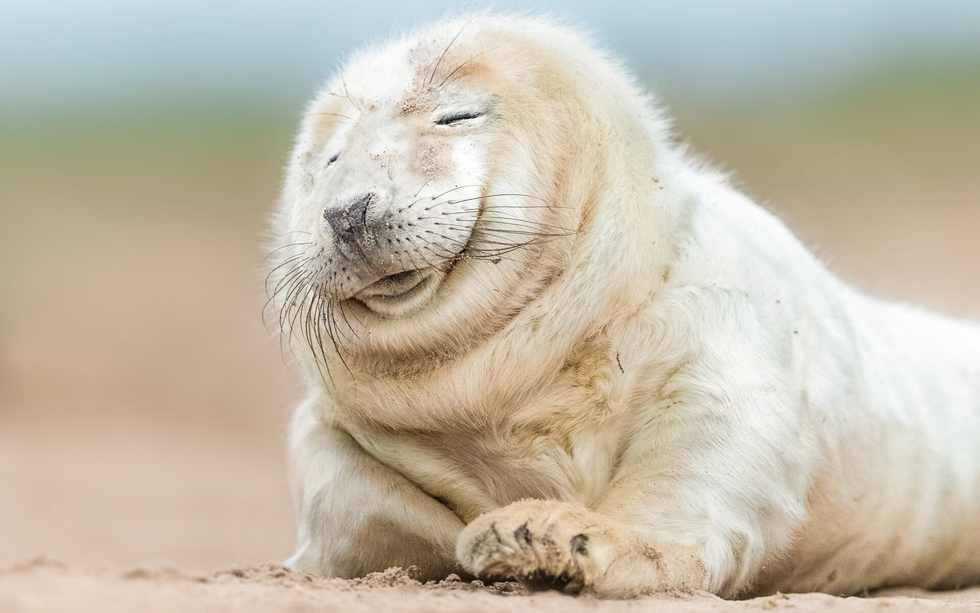 平行宇宙的篮球狂潮,戈贝尔数据风暴席卷,活塞逆袭深圳打破次元壁