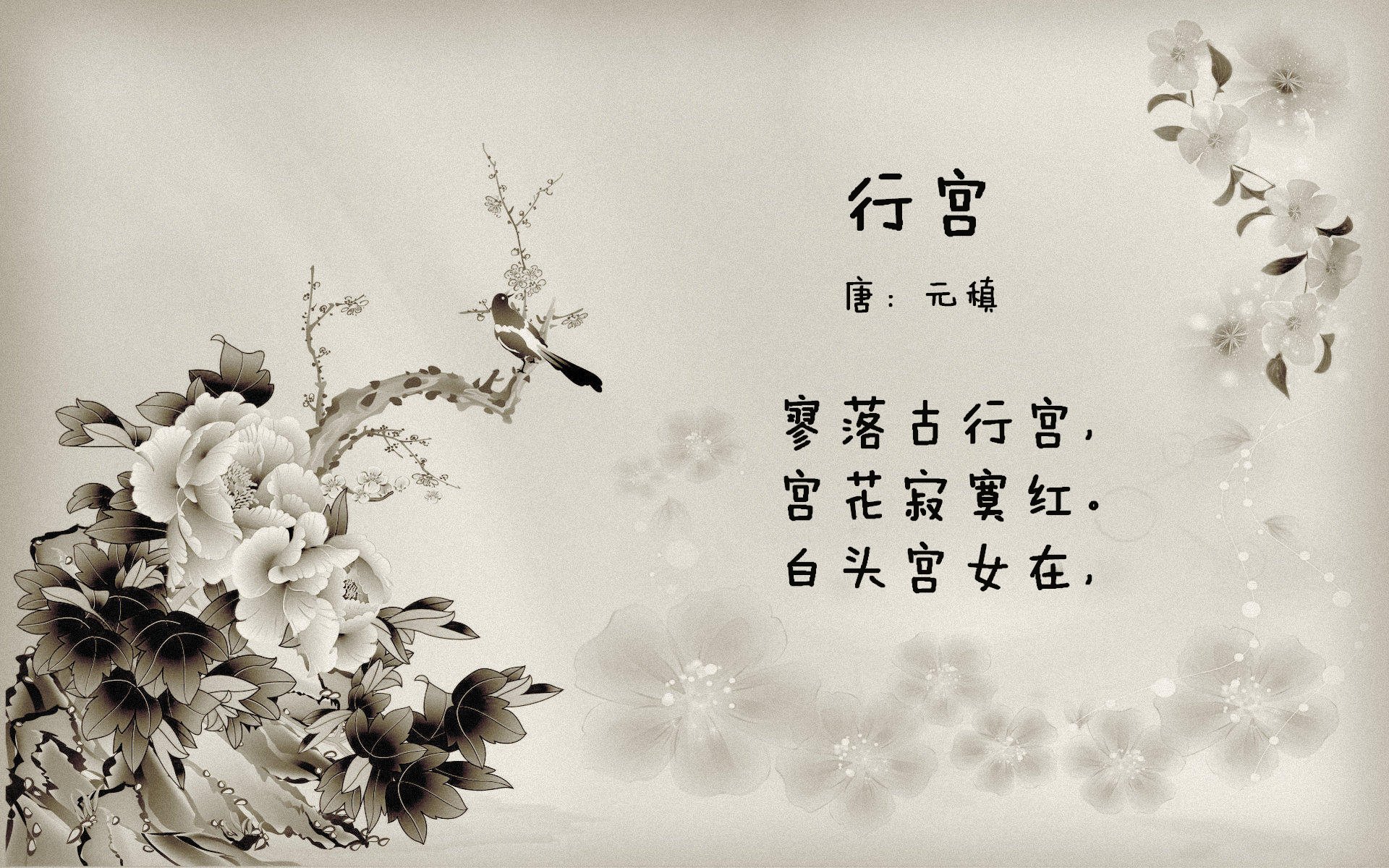 新兵绝杀,旧王不冷,关键先生如何在时间的刀锋上起舞?