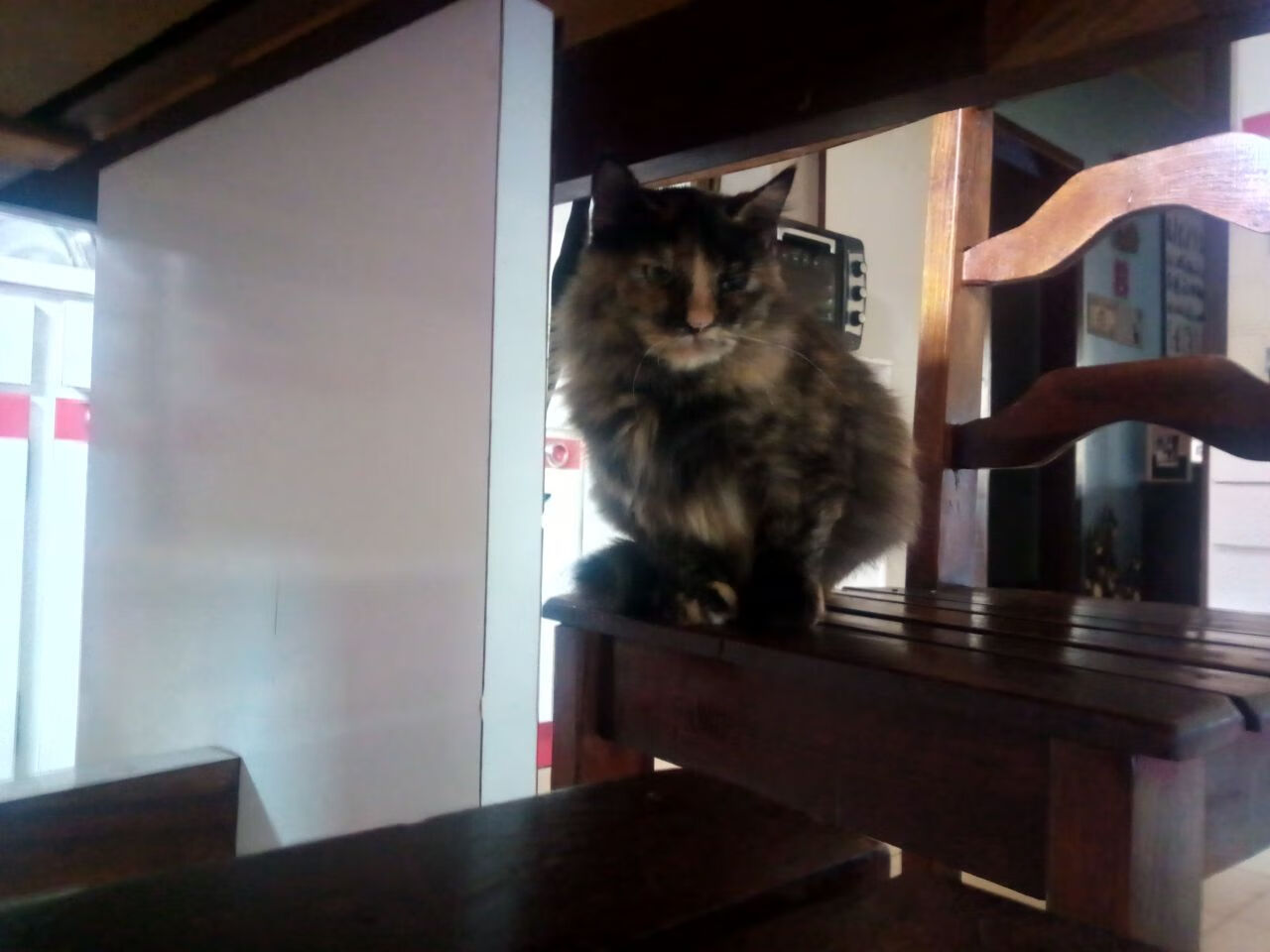 星光与逆袭,萨拉赫独舞难敌几内亚压哨绝杀