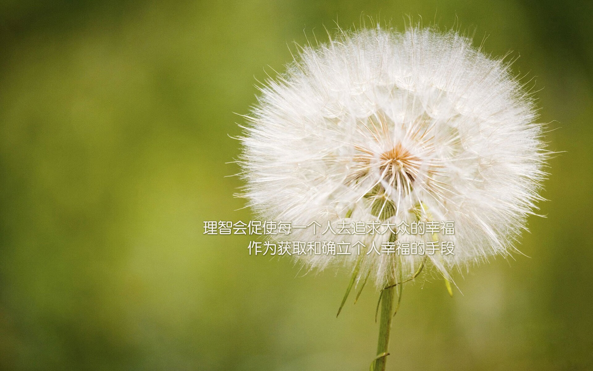 王座崩塌之夜，当亚特兰大之鹰与胡子上帝联手撕碎克利夫兰王朝