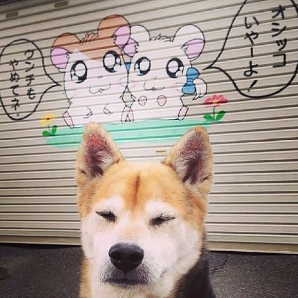 当篮球机器闯入足球之夜，伦纳德的终极高能输出