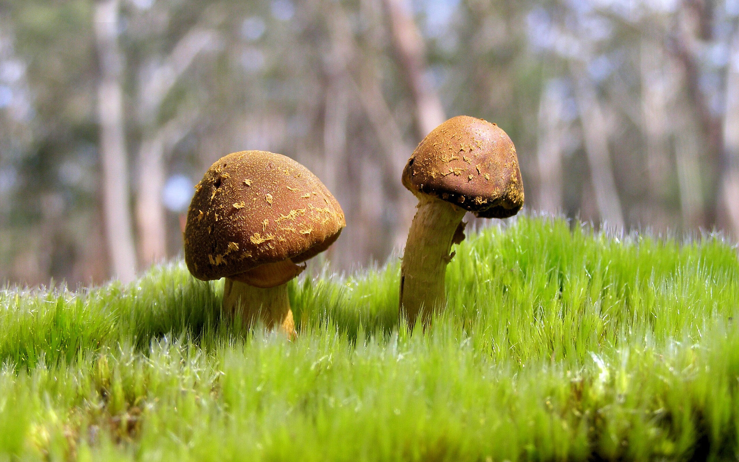 黄与蓝的对话,加克波冠军级表现照亮比利亚雷亚尔与美国的战术棋盘