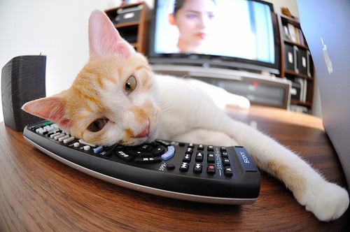 当葡萄牙的利矛刺穿巴萨时，阿劳霍用故土雕刻的盾，为诺坎普赢下最矛盾的胜利