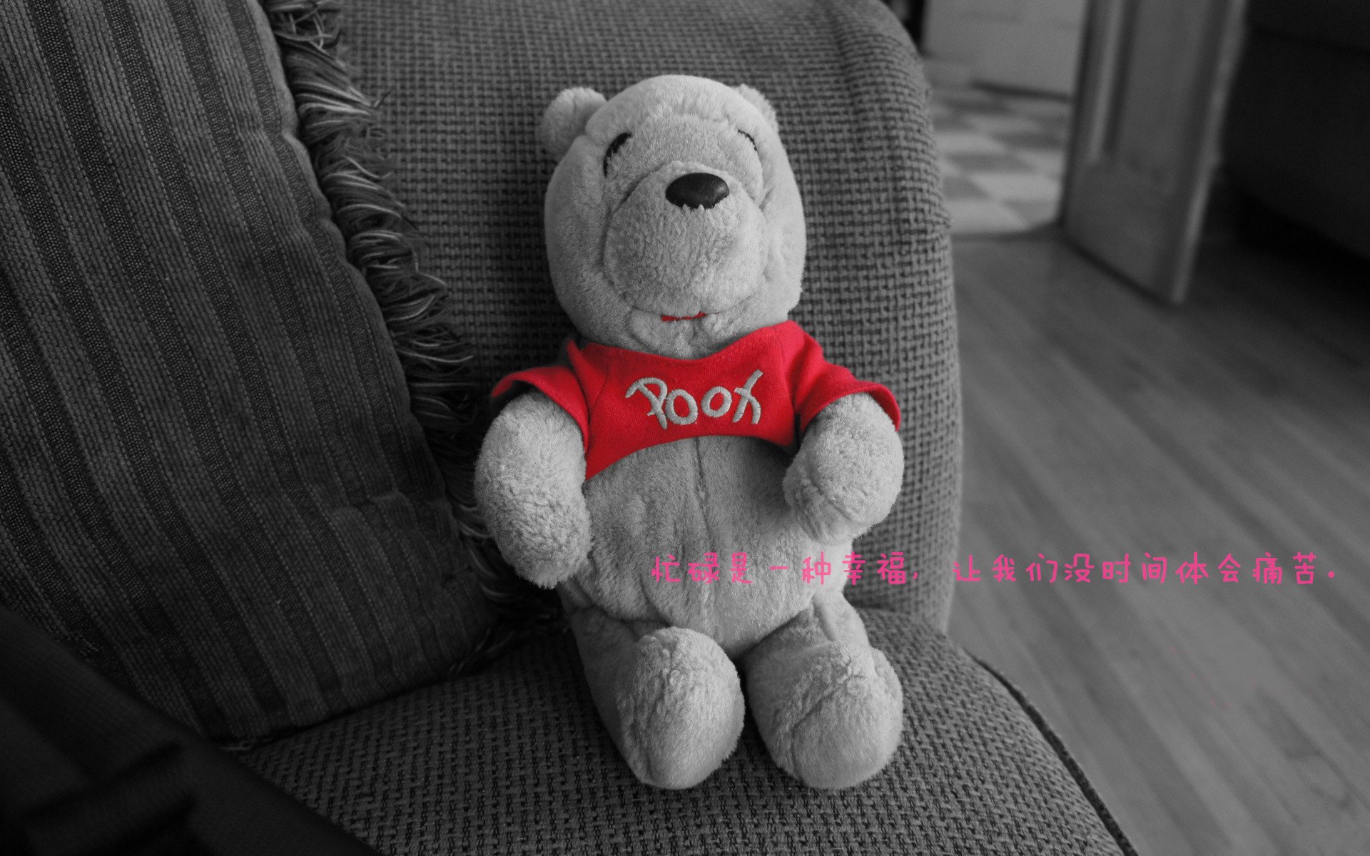 从CBA到意甲，布克们如何定义接管比赛？