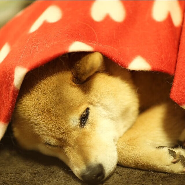 马德里竞技国度vs巴拉圭堡垒，一场定义存在的征服战