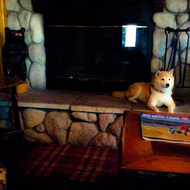 爱游戏-银黑方程式，马刺终结热火之战与切特赛道上的争冠艺术