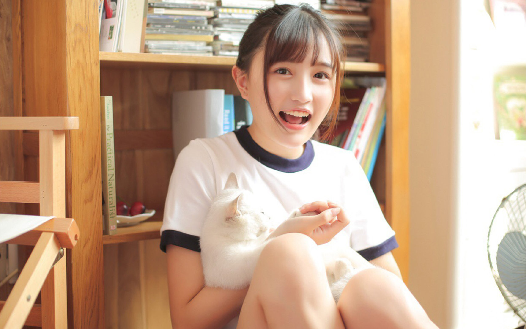 等待的艺术，从鹈鹕的战术蓝本到哈利伯顿的终极接管