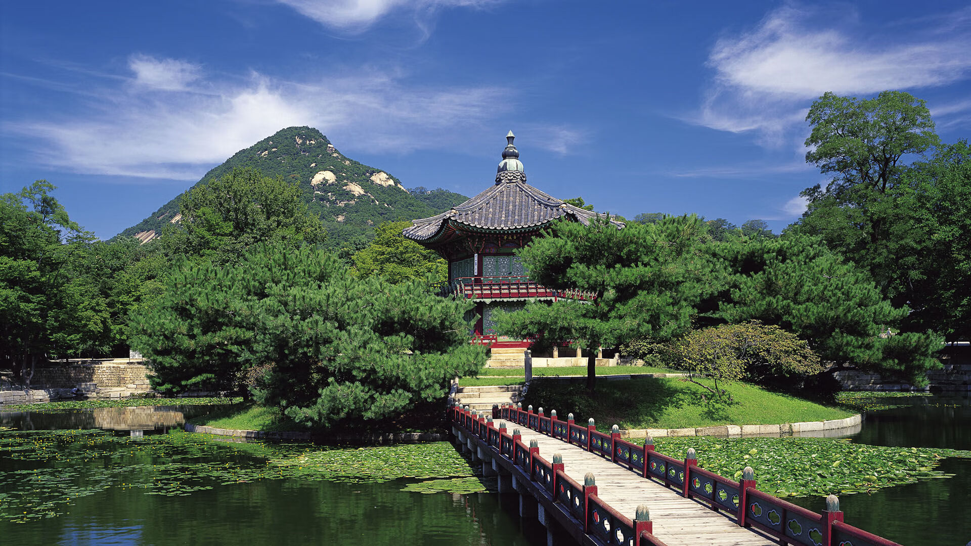 爆冷夜！深圳队压哨三分绝境翻盘，争议性击败热火引爆排名争夺战