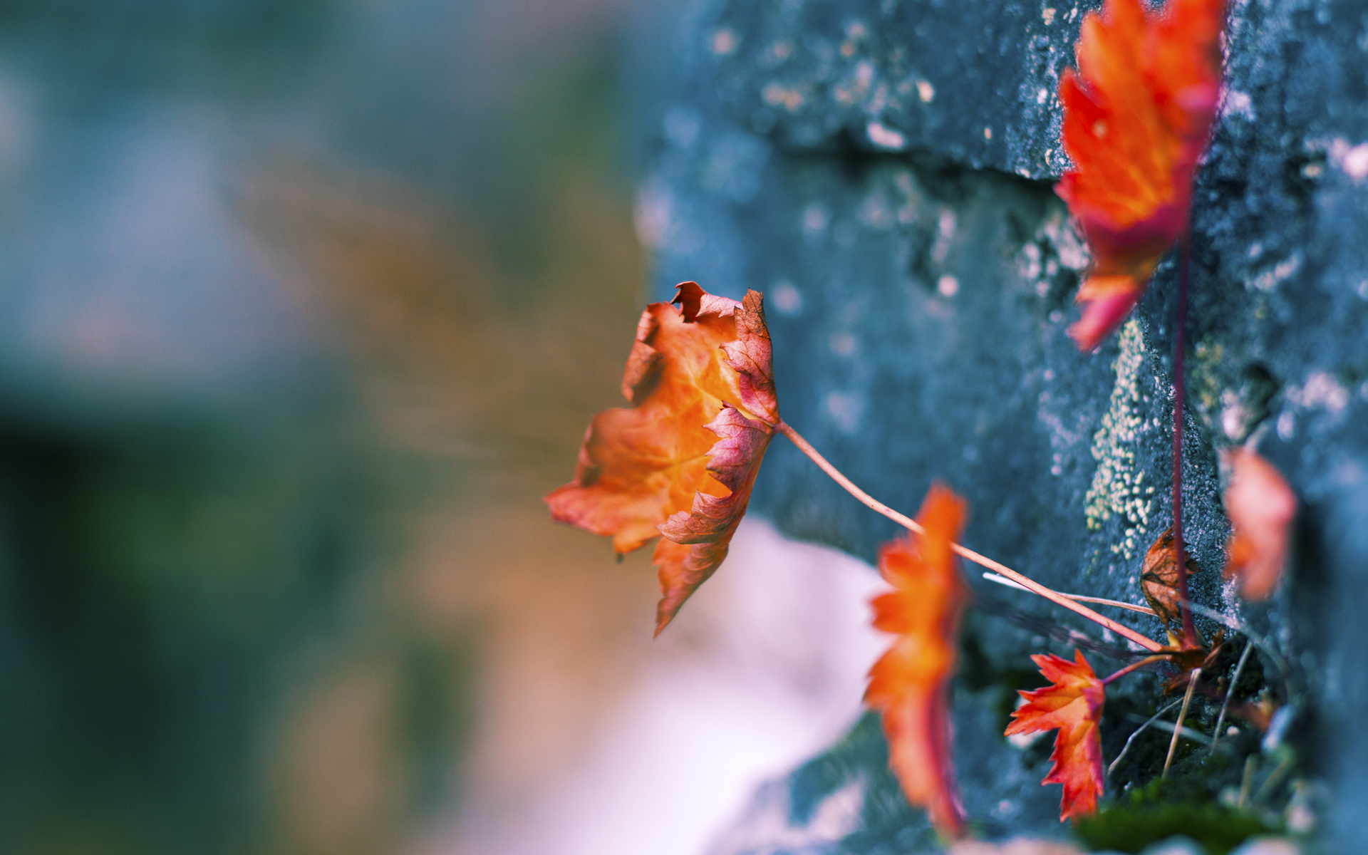 跨界投射，当西甲国家德比之夜遇上西亚卡姆的持续杀伤力