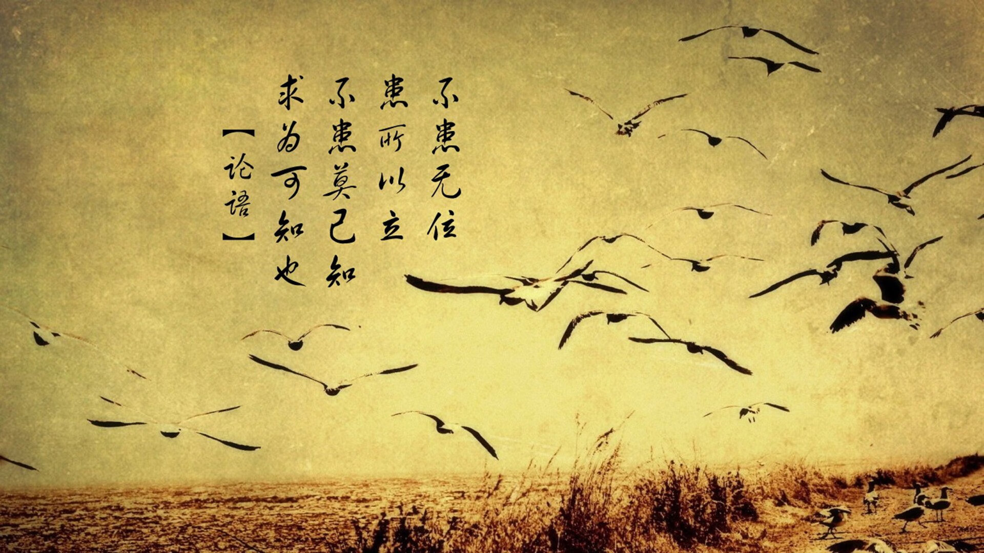 绿茵烽火遇冰封铠甲,美加墨世界杯焦点战与活塞打穿新疆队的战术对话