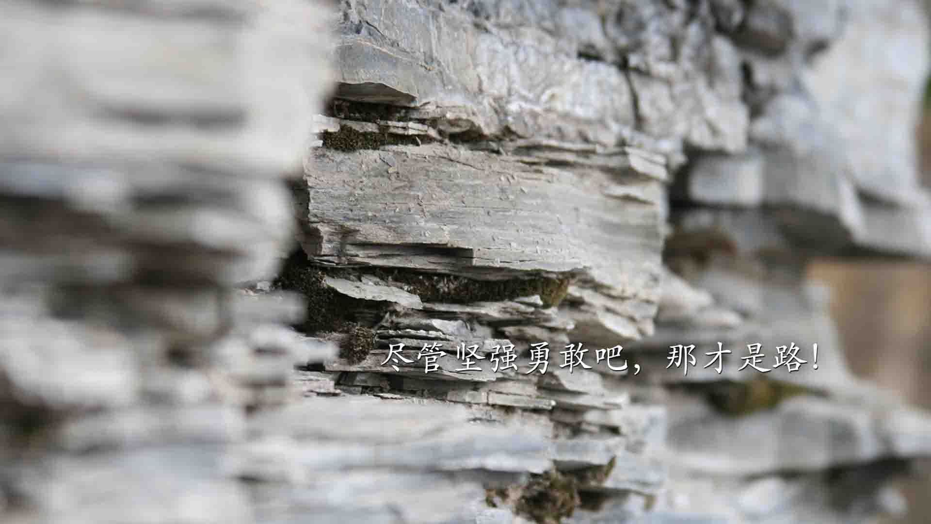 非典型对决,世界排名暗战下的几内亚风暴与多特蒙德困局