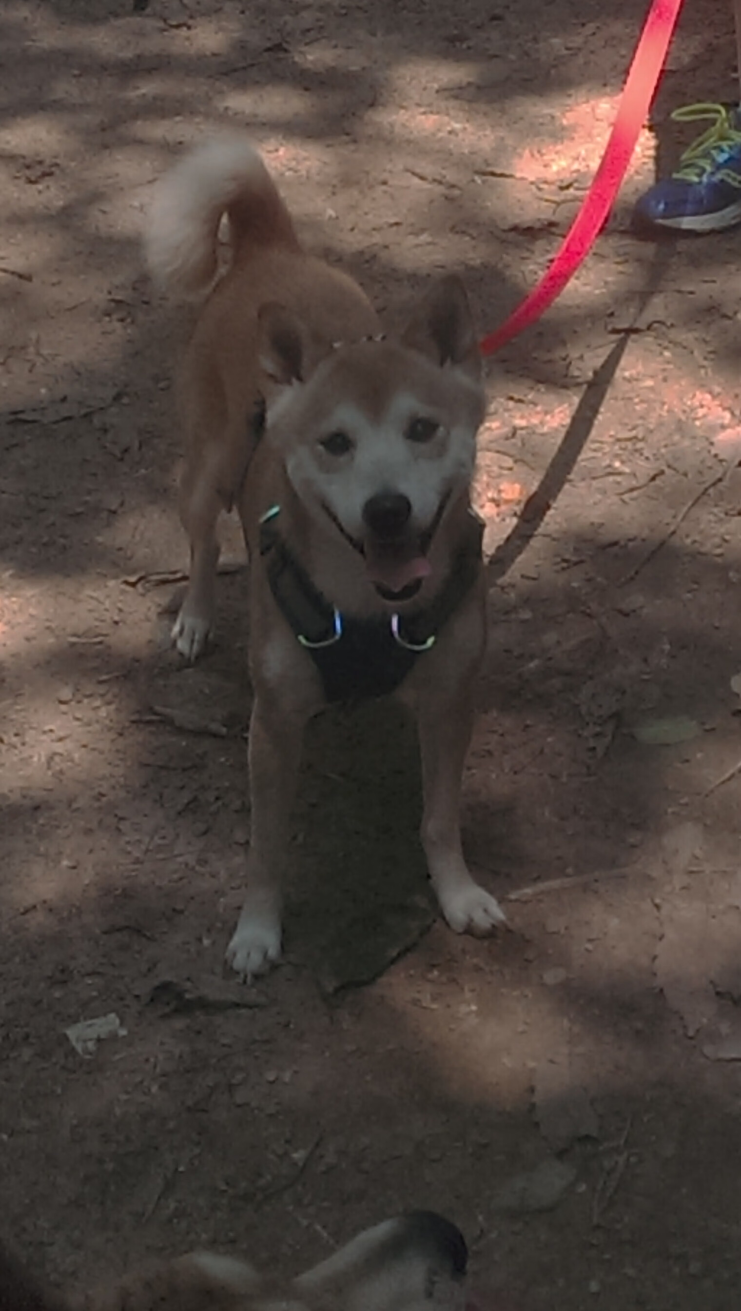 当NBA季后赛碰撞世界杯预选赛，一个夜晚，两场战争