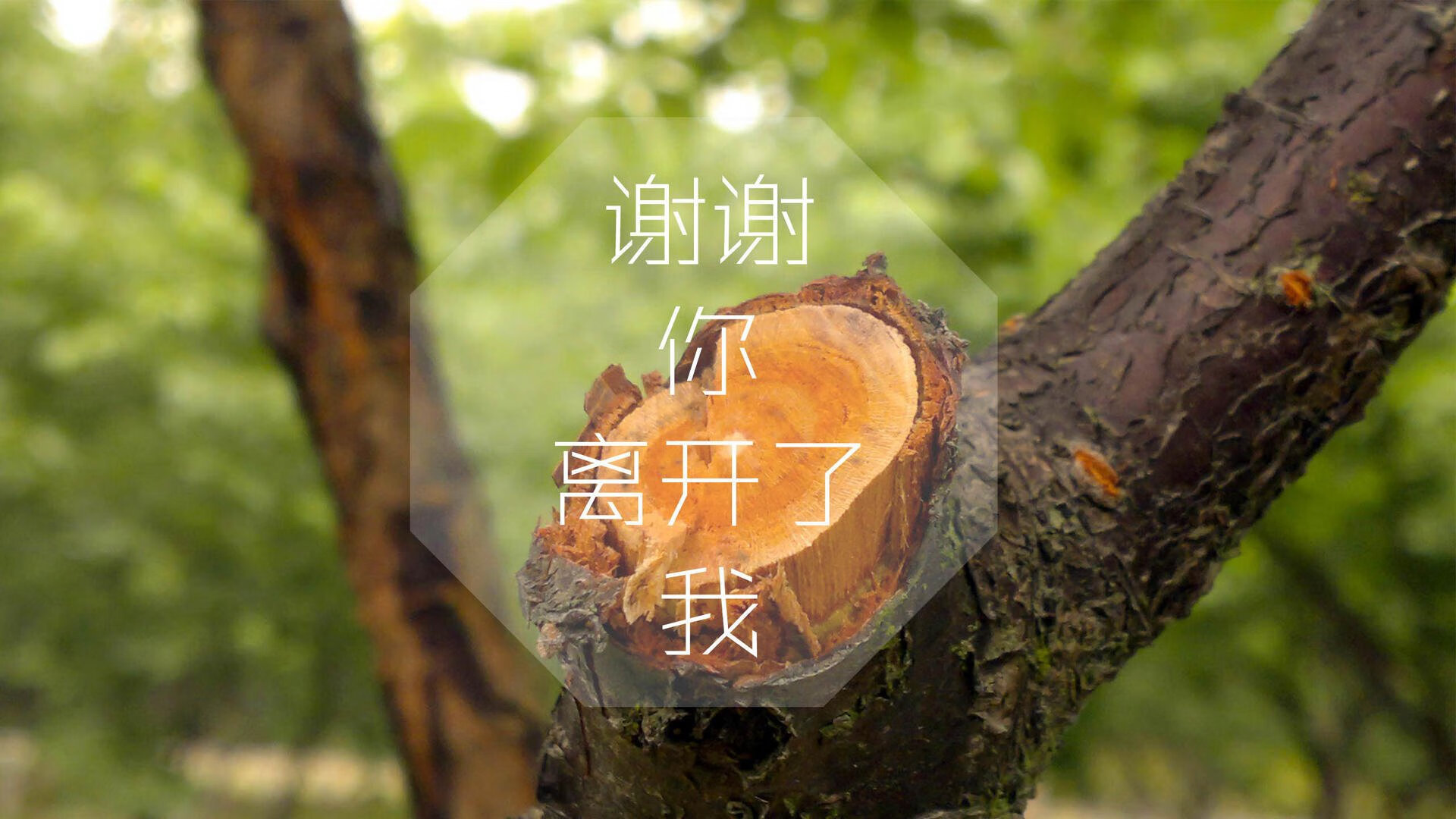 慕尼黑暗战,当德国战车陷入泥沼,托纳利的意大利心脏如何在C组关键战中用防守反击刺穿钢铁防线