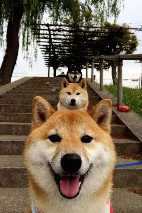 冷门的温床,当维京战吼撕裂钟表精密,莫德里奇在废墟上跳起最后的探戈