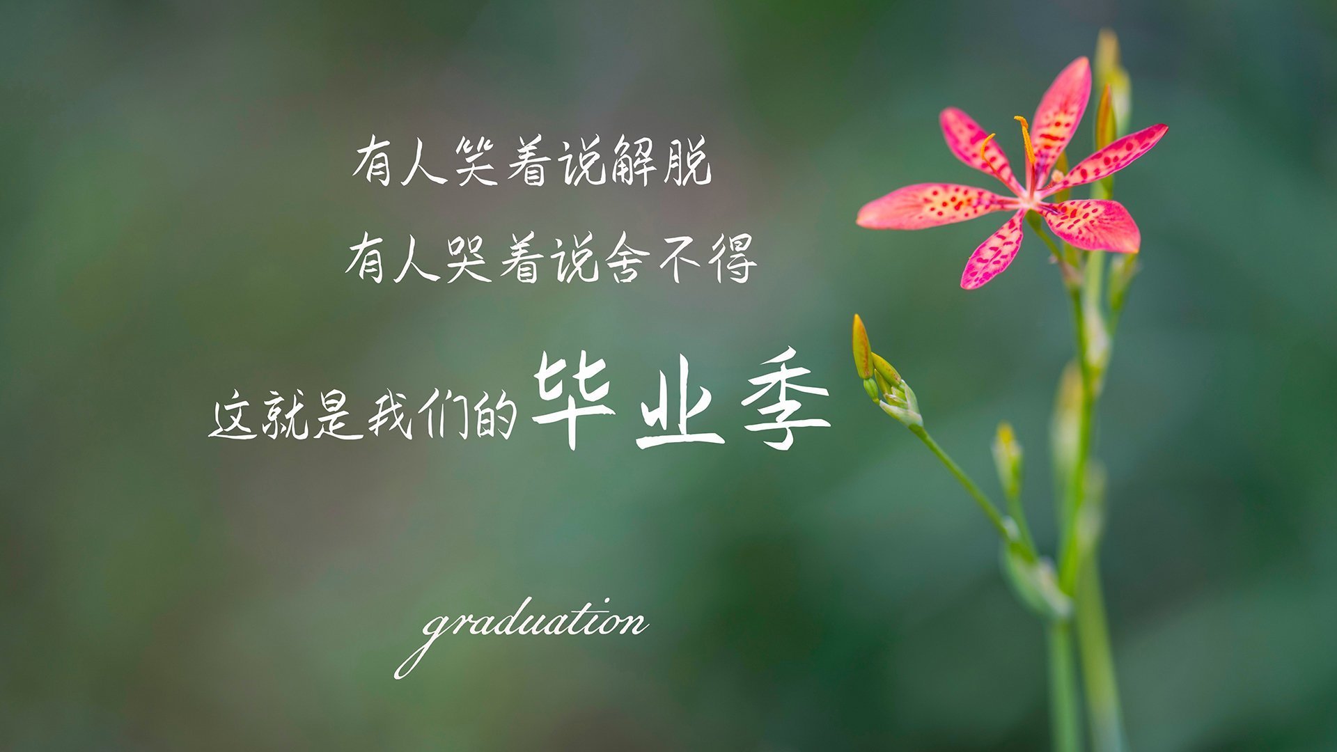 里斯本之夜，当C罗的沉默被孙兴慜的闪电撕裂，葡萄牙的黄金一代何以沦为最大配角？